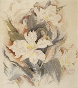 Studio di fiori da Charles Demuth